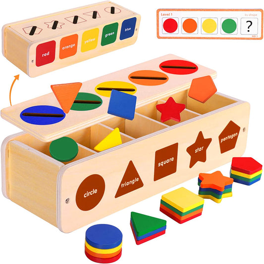 Montessori Wooden Toys for 1 2 3 Years Old Boys Girls, Color Sorting & Shape Sorter